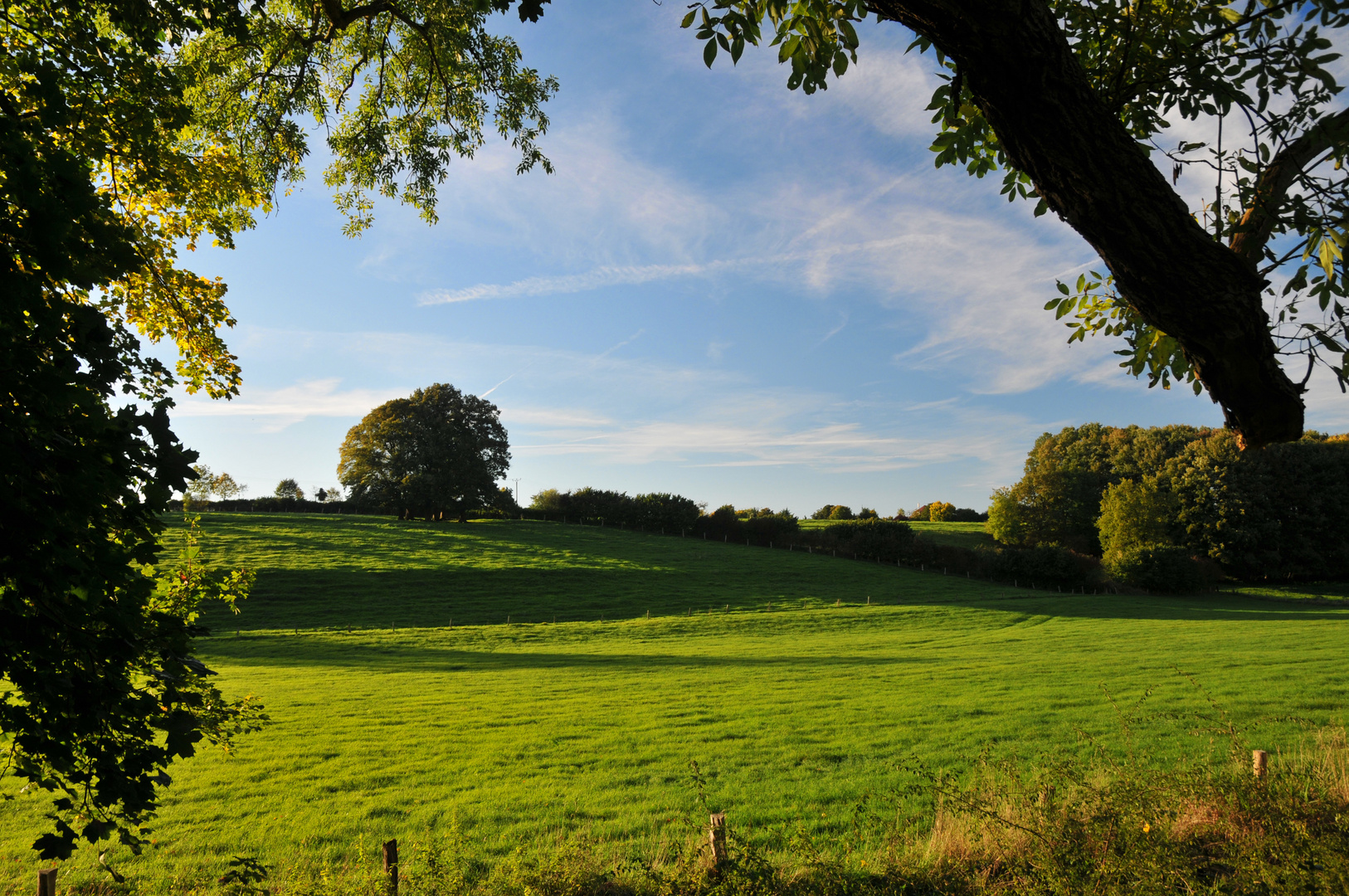 Herbstwiese