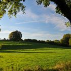 Herbstwiese