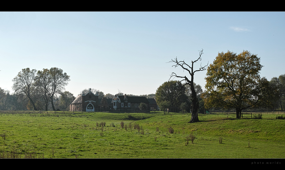 Herbstwiese