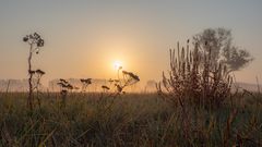 Herbstwiese