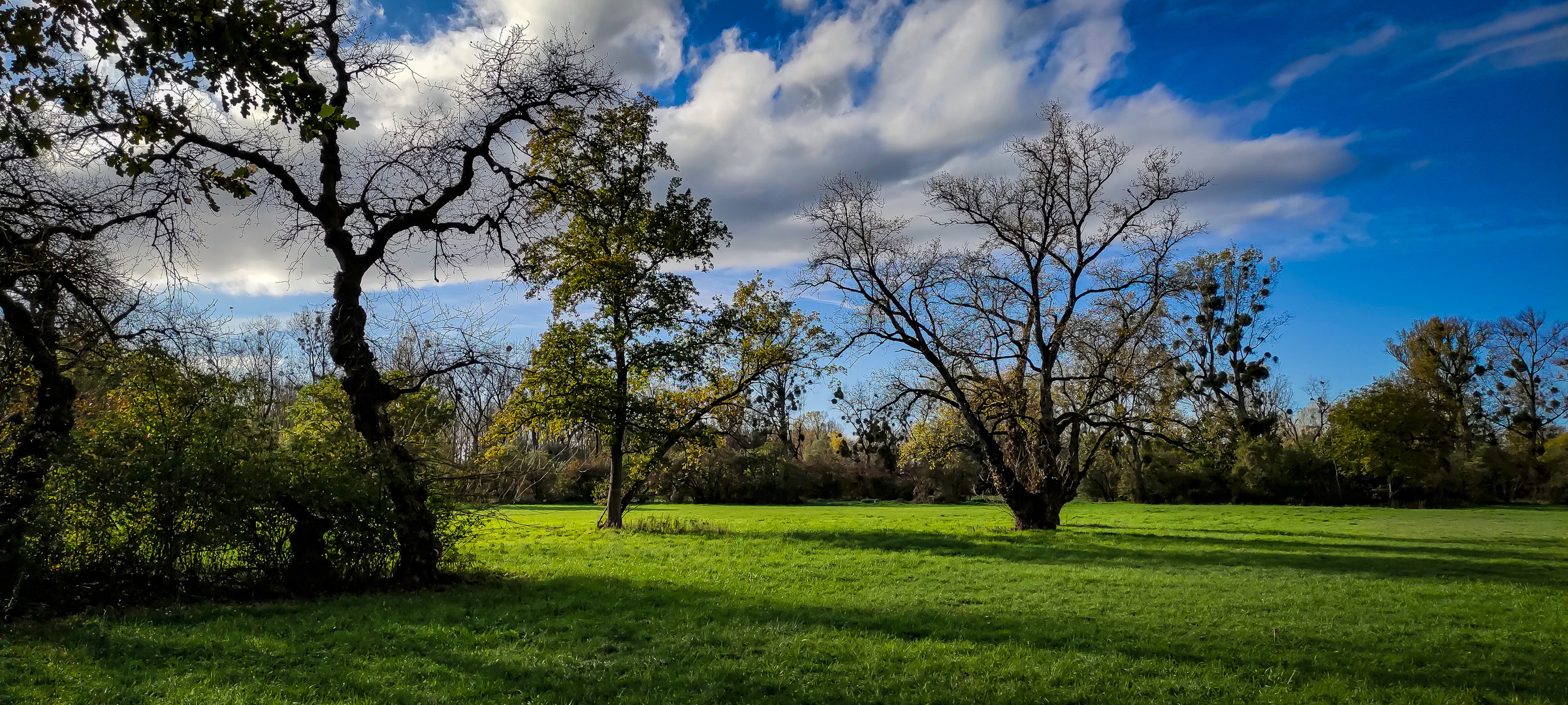 Herbstwiese