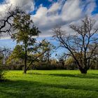 Herbstwiese