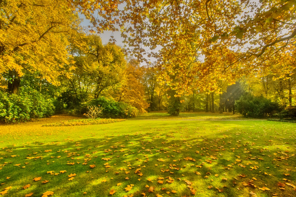 Herbstwiese