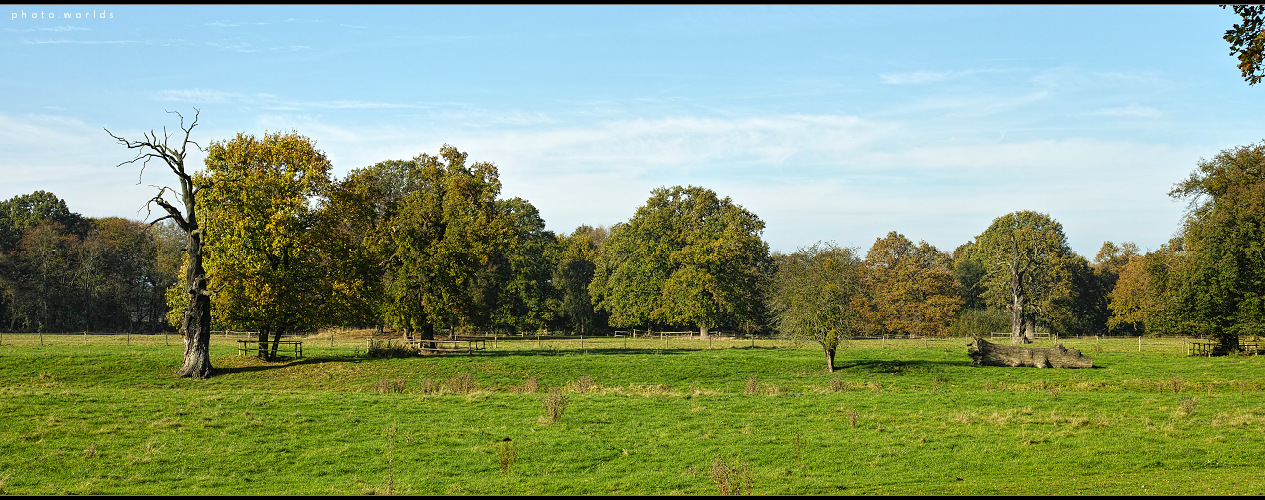 Herbstwiese