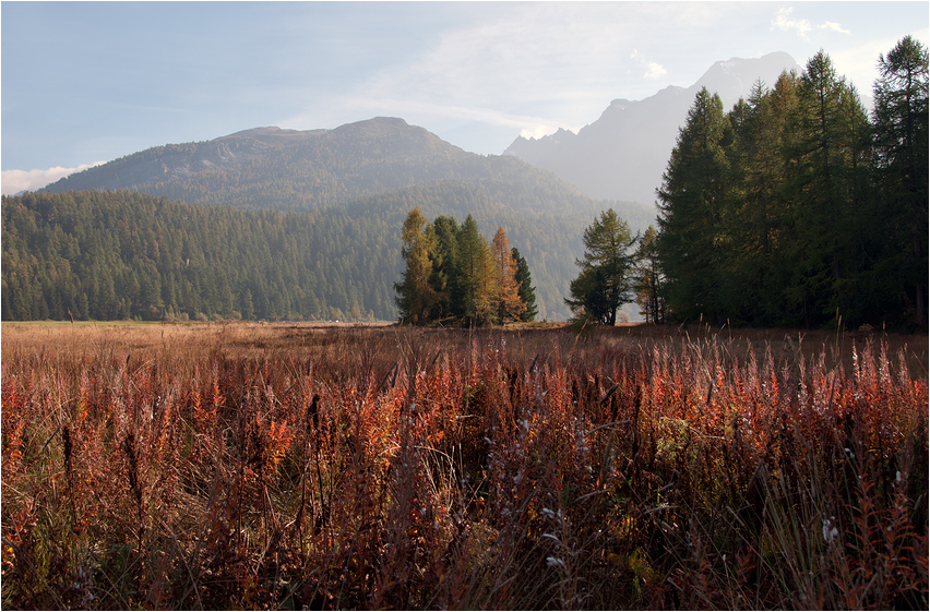 Herbstwiese