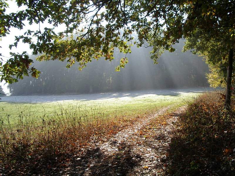 Herbstwiese an der Altmühl