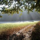 Herbstwiese an der Altmühl