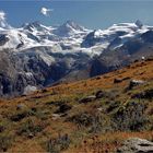 HERBSTWIESE AUF 2500 M