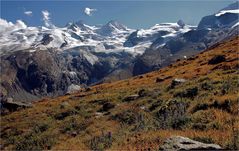 HERBSTWIESE AUF 2500 M