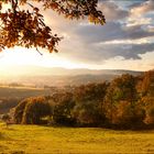 Herbstwiese