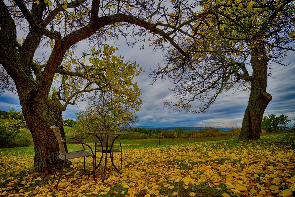 Herbstwiese