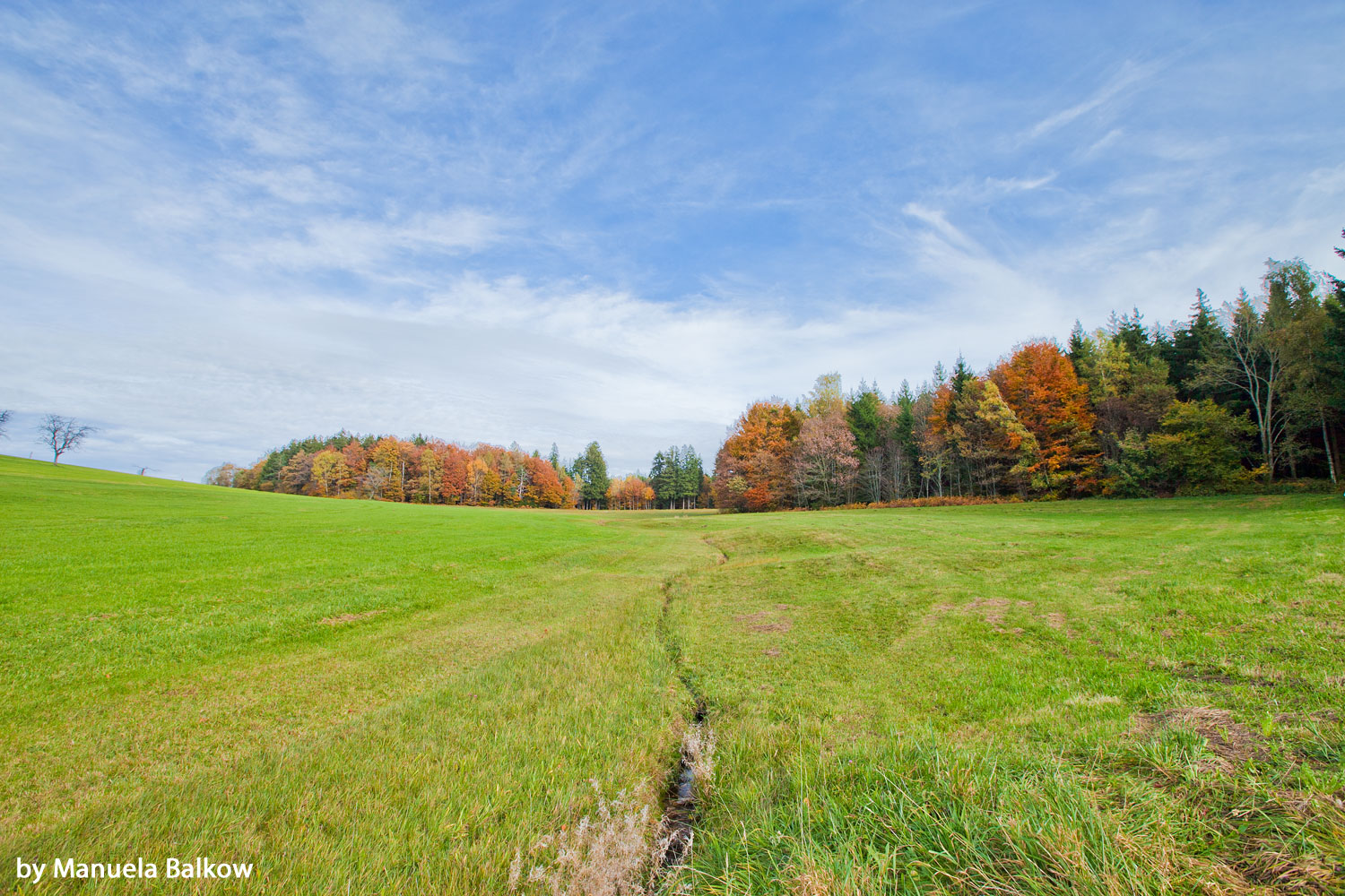 Herbstwiese