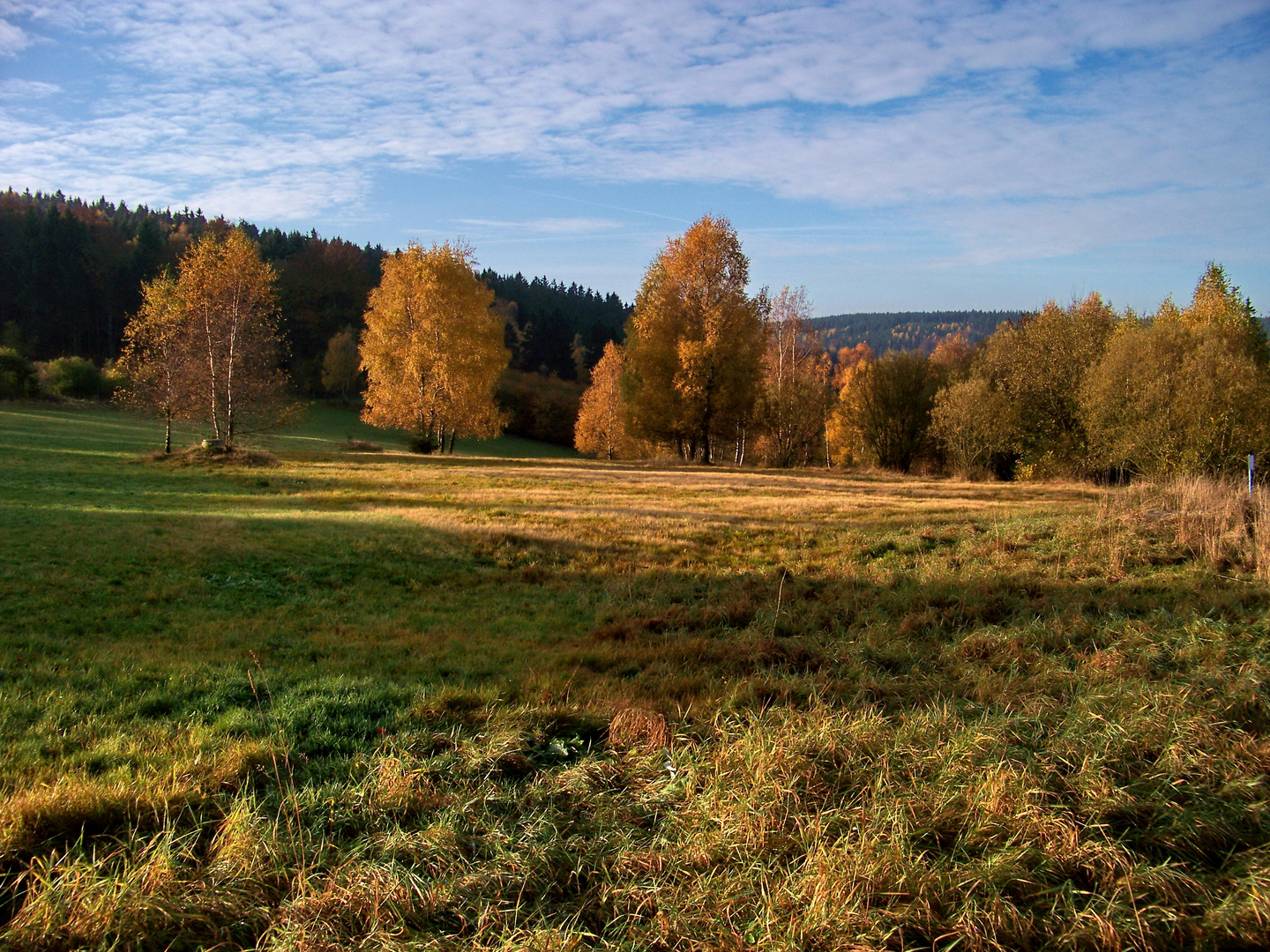 Herbstwiese