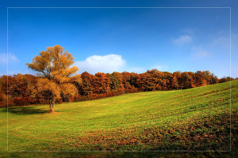 Herbstwiese