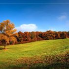 Herbstwiese