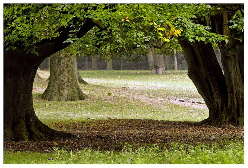 Herbstwiese im Wildpark...