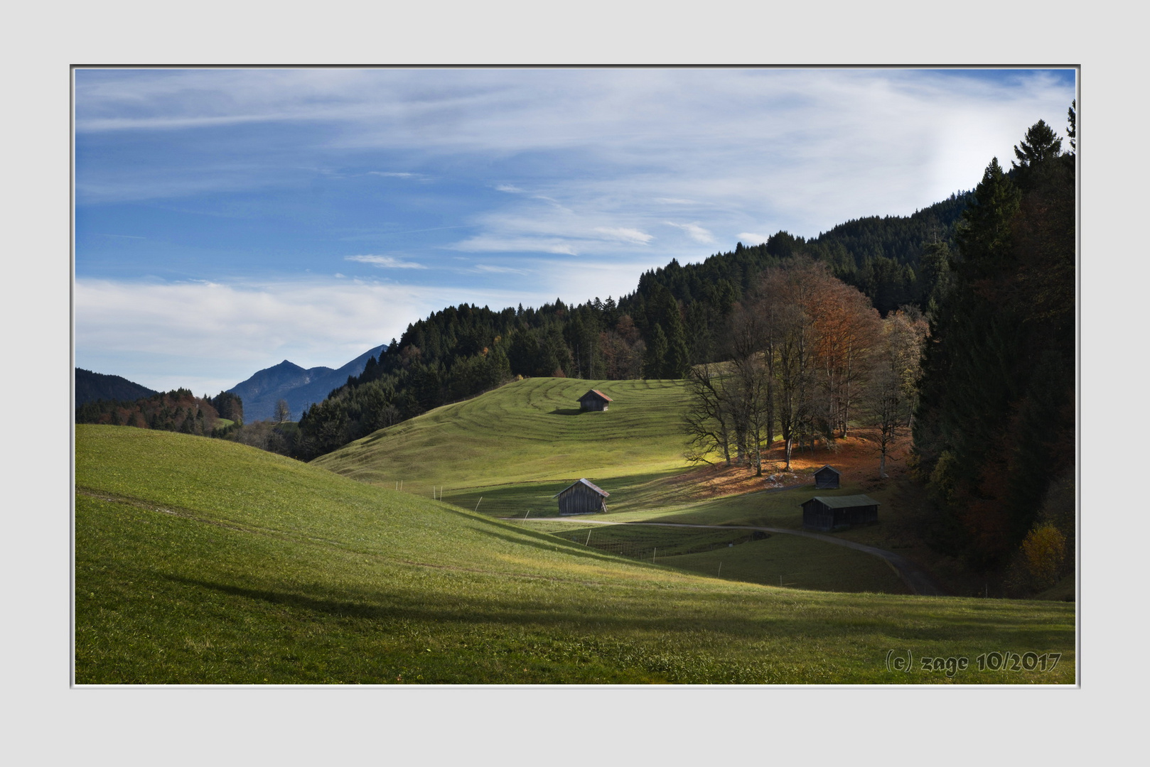 Herbstwiese in Wamberg