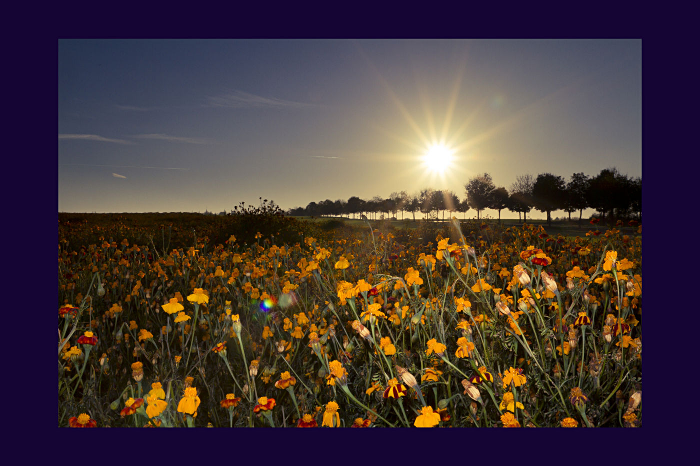 Herbstwiese kurz vor Sonnenuntergang