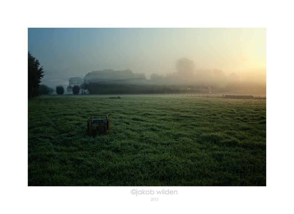 Herbstwiesen