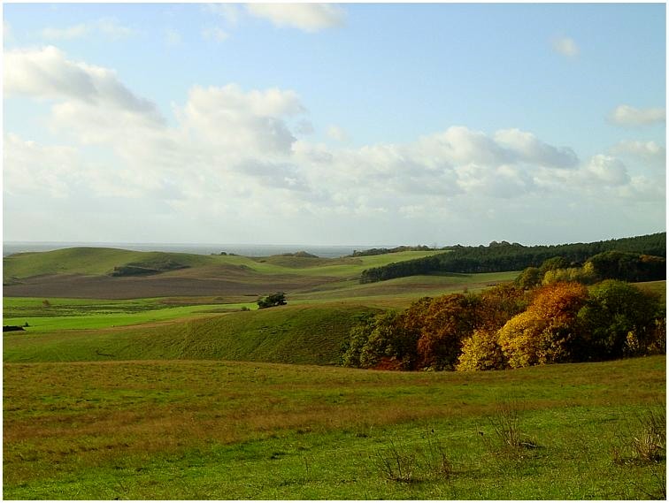 Herbstwiesen auf Rügen