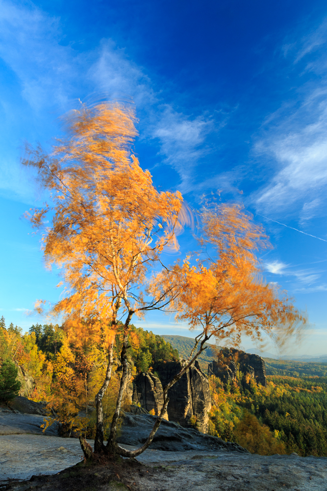 Herbstwind