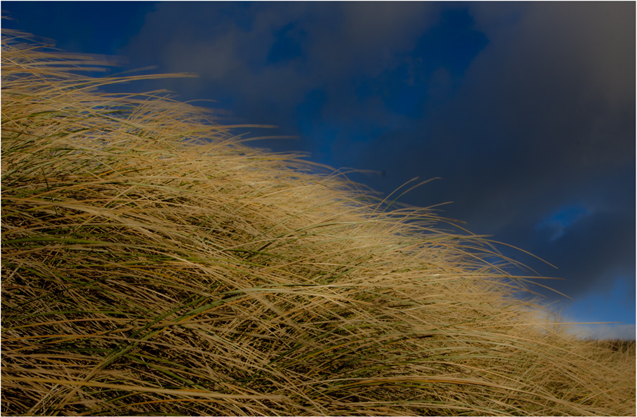 Herbstwind