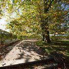 Herbstwind