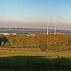 Herbstwind