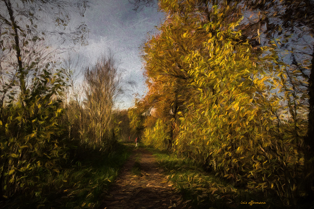 Herbstwind