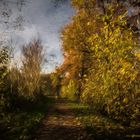 Herbstwind