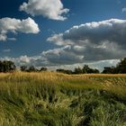 Herbstwind