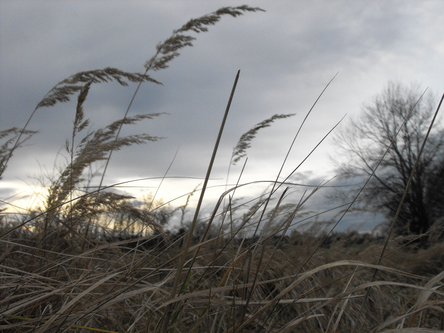 Herbstwind