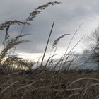 Herbstwind