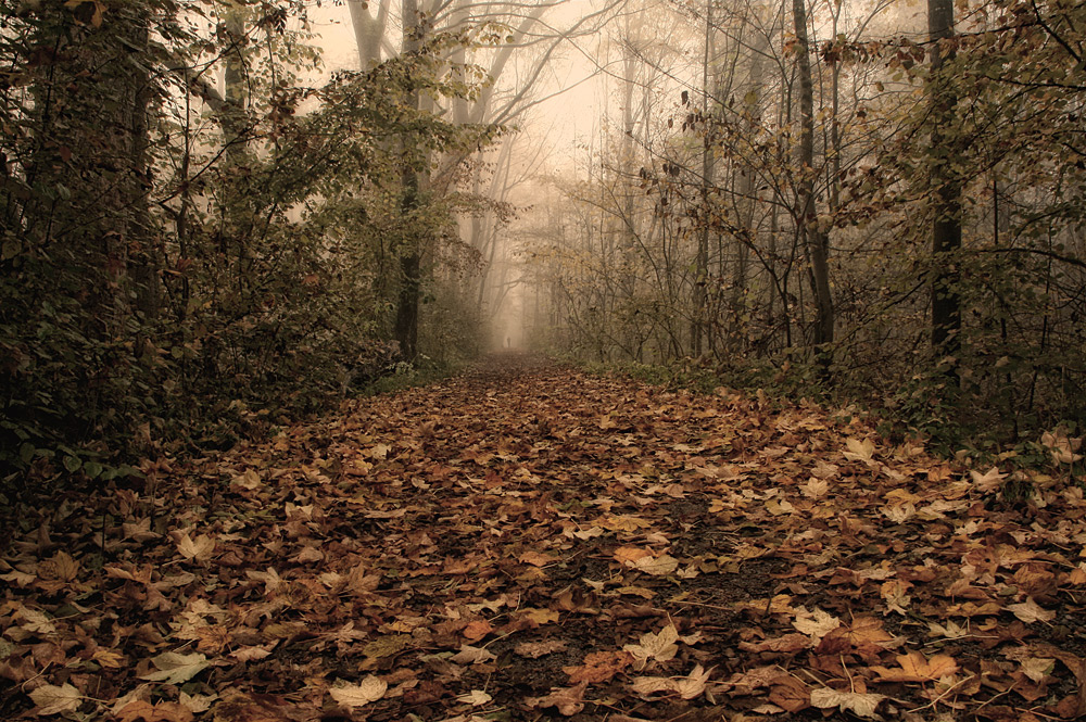 HerbstWind