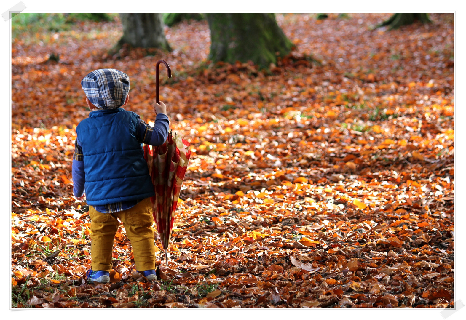 Herbstwind