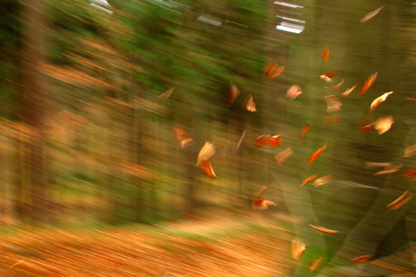 Herbstwind