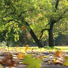 Herbstwind...