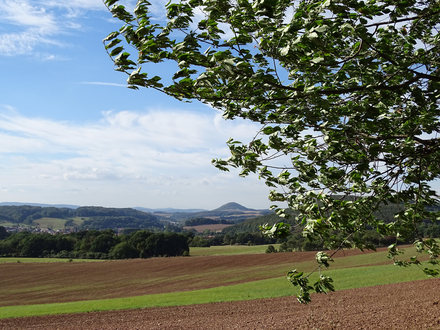 Herbstwind