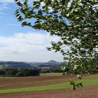 Herbstwind