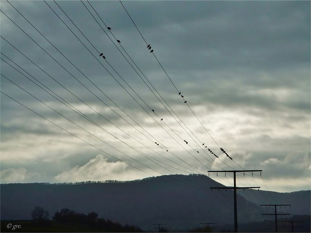 Herbstwind