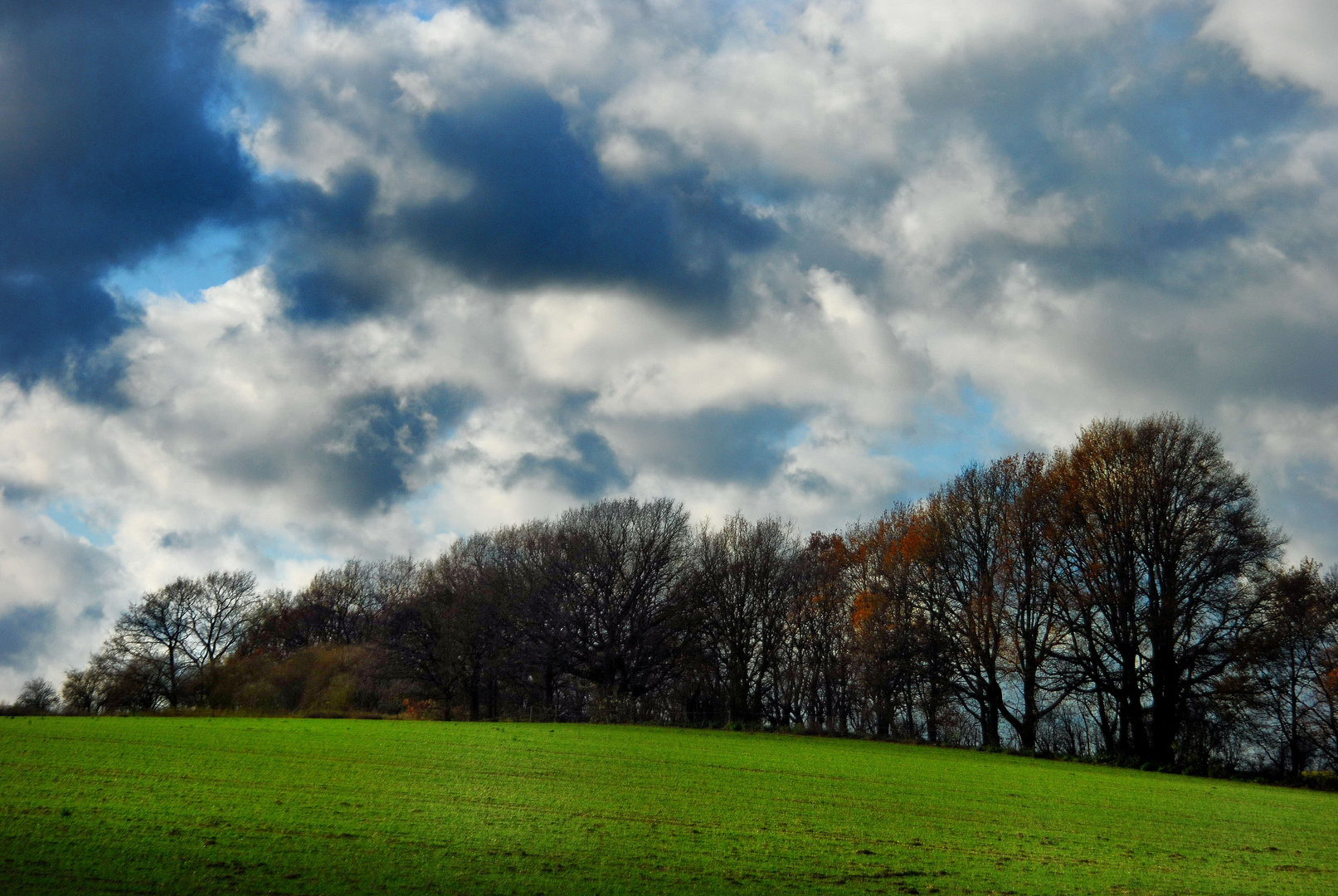 Herbstwind