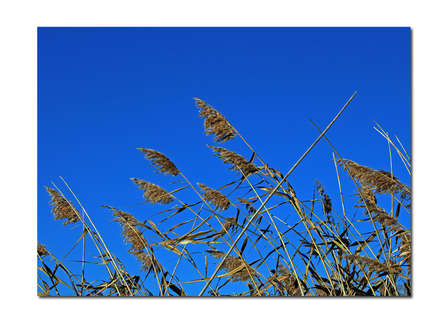 ***Herbstwind***