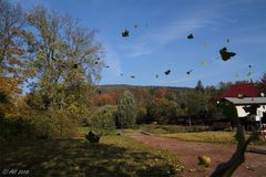 Herbstwind