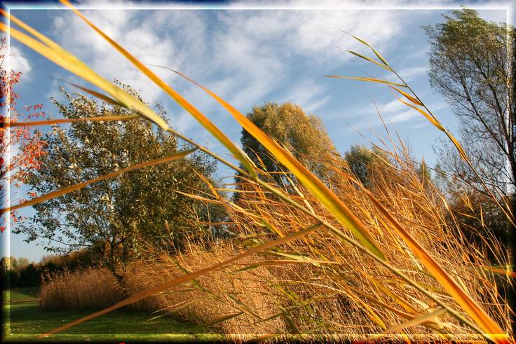 Herbstwind