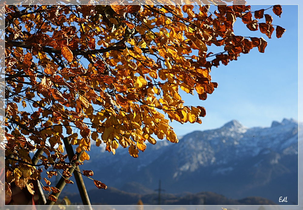 Herbstwind