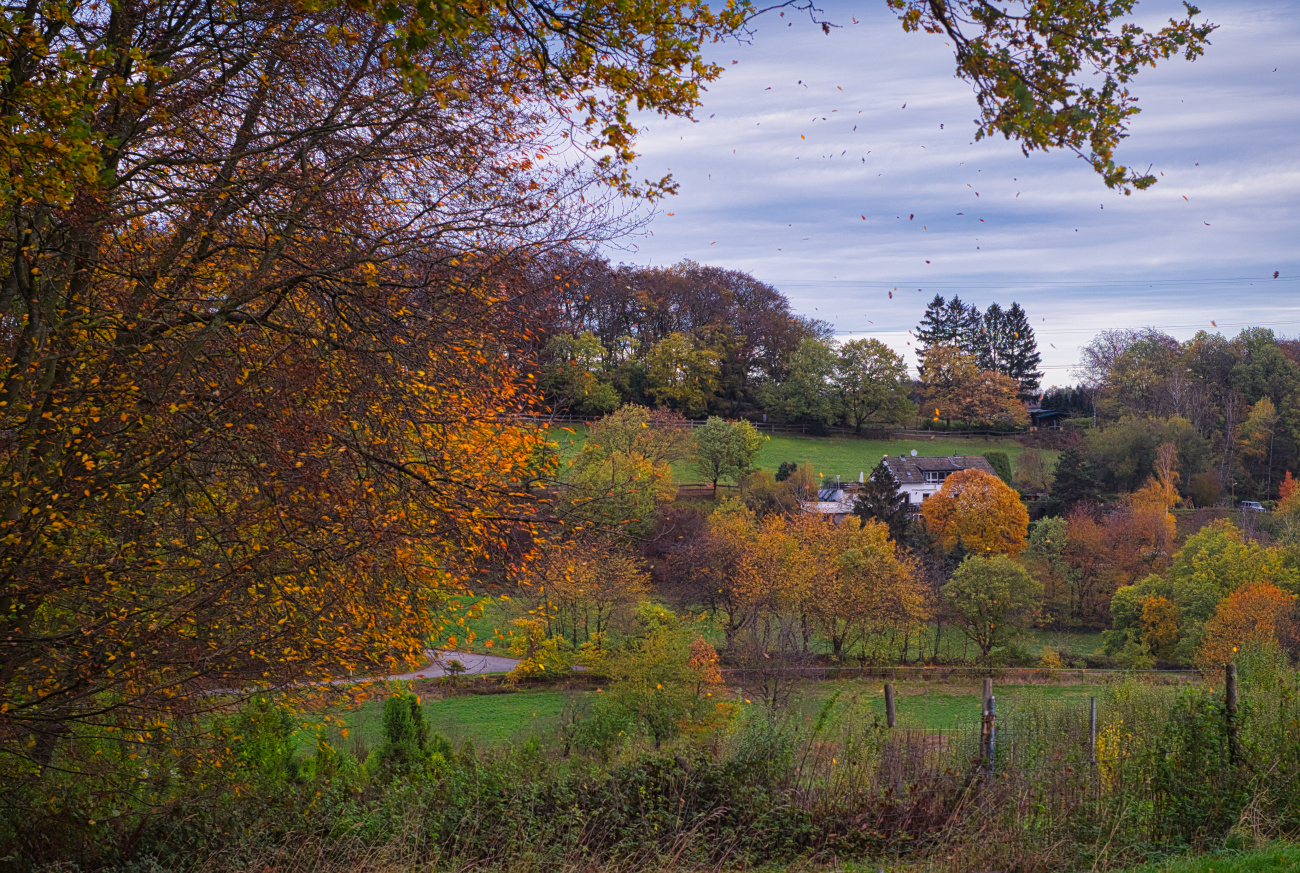 Herbstwind