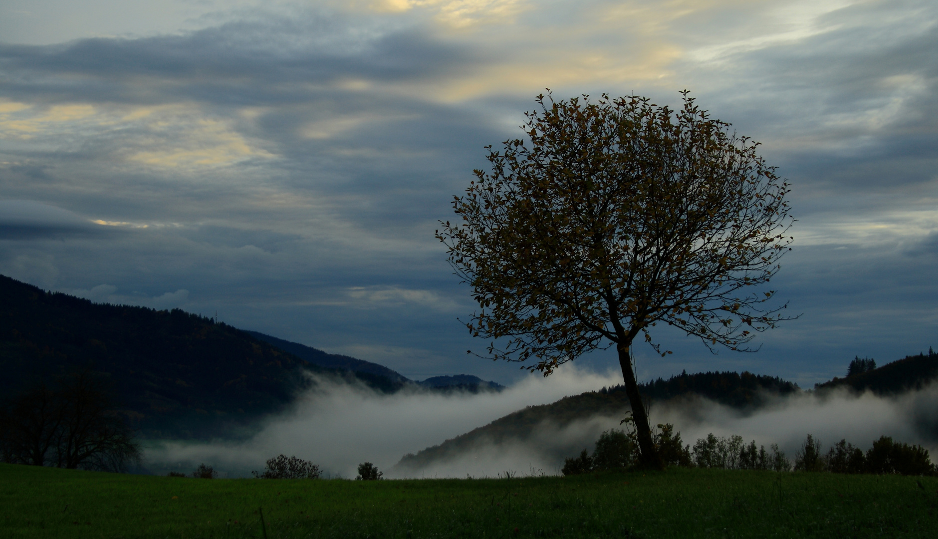 Herbstwind