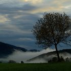 Herbstwind