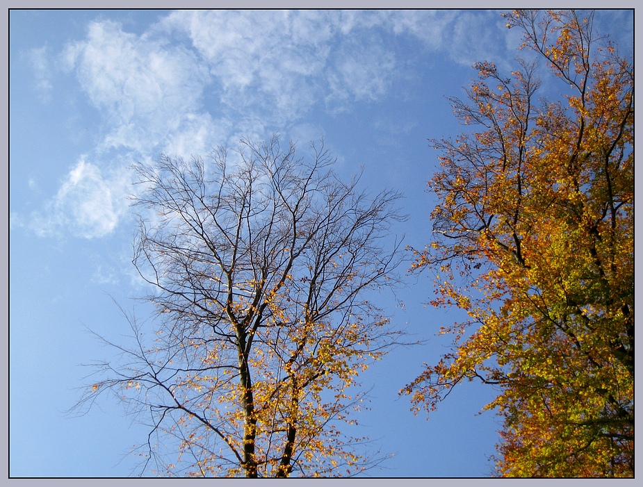 Herbstwind