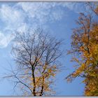 Herbstwind